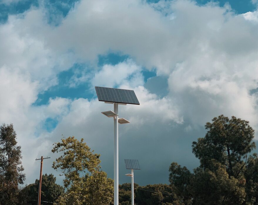 solar panels with trees in the background | Innovators Central